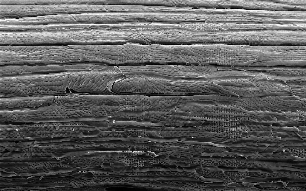 Microscopic demonstration of how the smooth glass nail file protects the keratin barrier of weak or brittle nails.